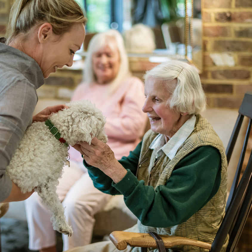 Tapestry Day Club person centred dementia support