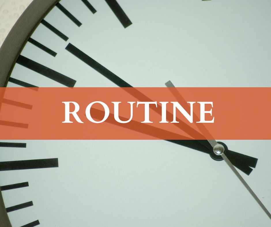importance of routine for people with dementia - Tapestry