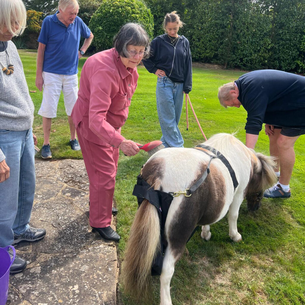 Dementia day care - Tapestry Day Club - horse therapy